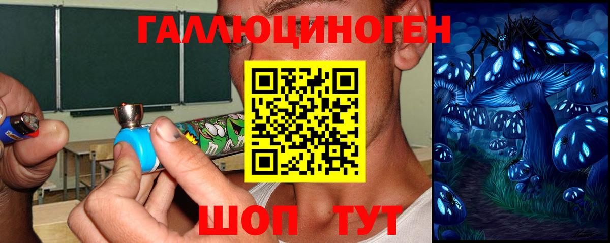 Галлюциногенные грибы прущие грибы Ижевск